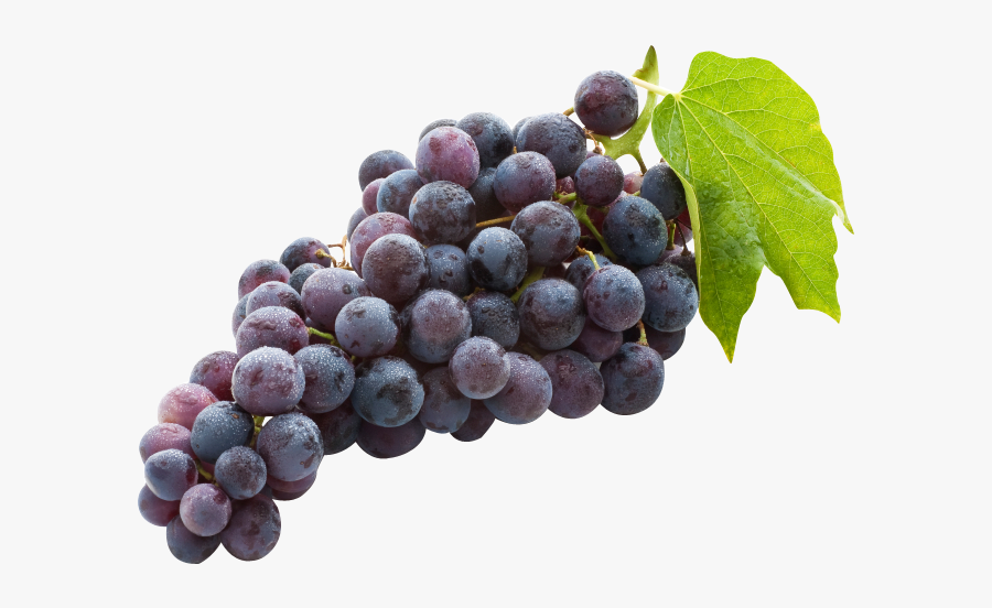 Black Grape, Transparent Clipart