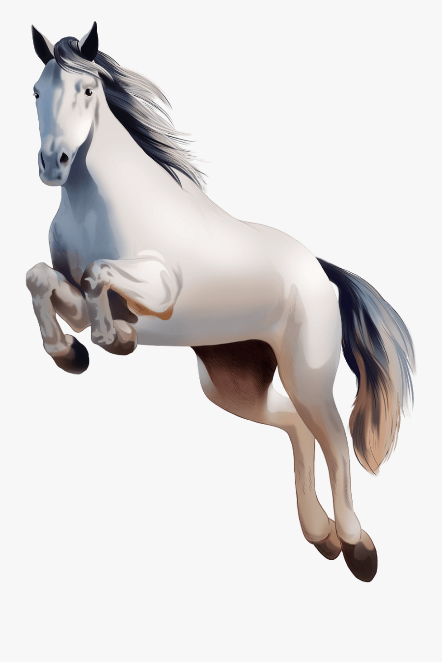 Stallion, Transparent Clipart