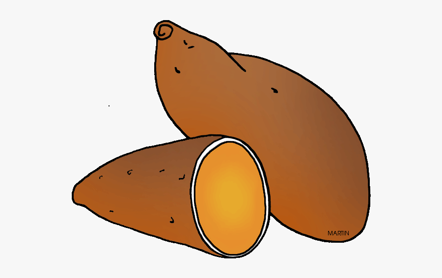 Sweet Potato Clipart - Sweet Potato Clip Art, Transparent Clipart