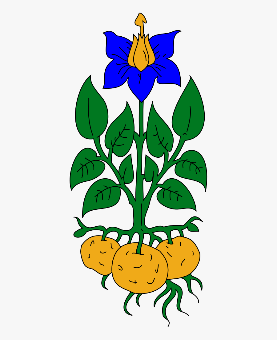 Heraldic Potato Plant - Potato Plant Clip Art, Transparent Clipart