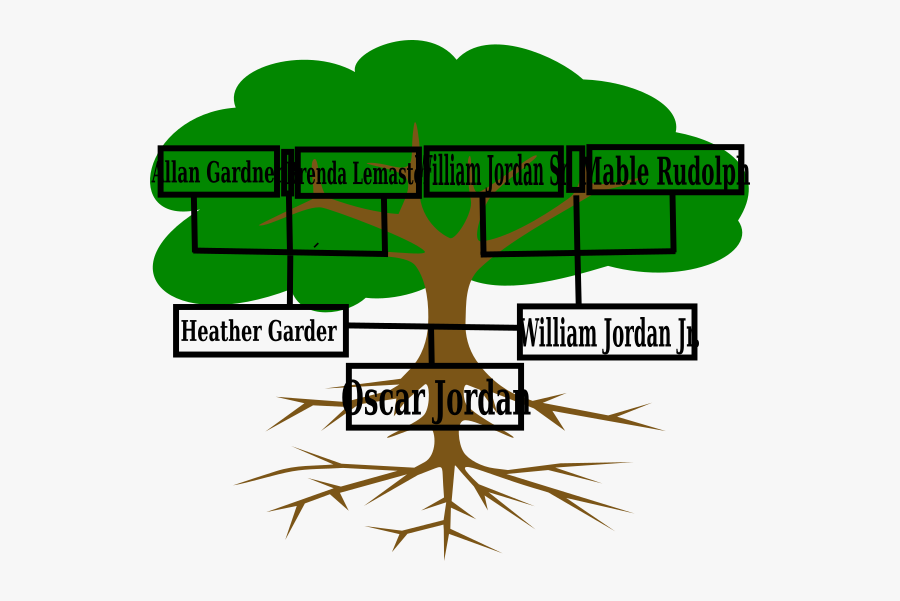 Roots Of American Democracy Tree, Transparent Clipart