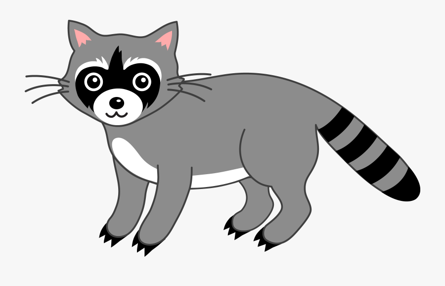 Raccoon Clipart - Clipart Of A Raccoon, Transparent Clipart