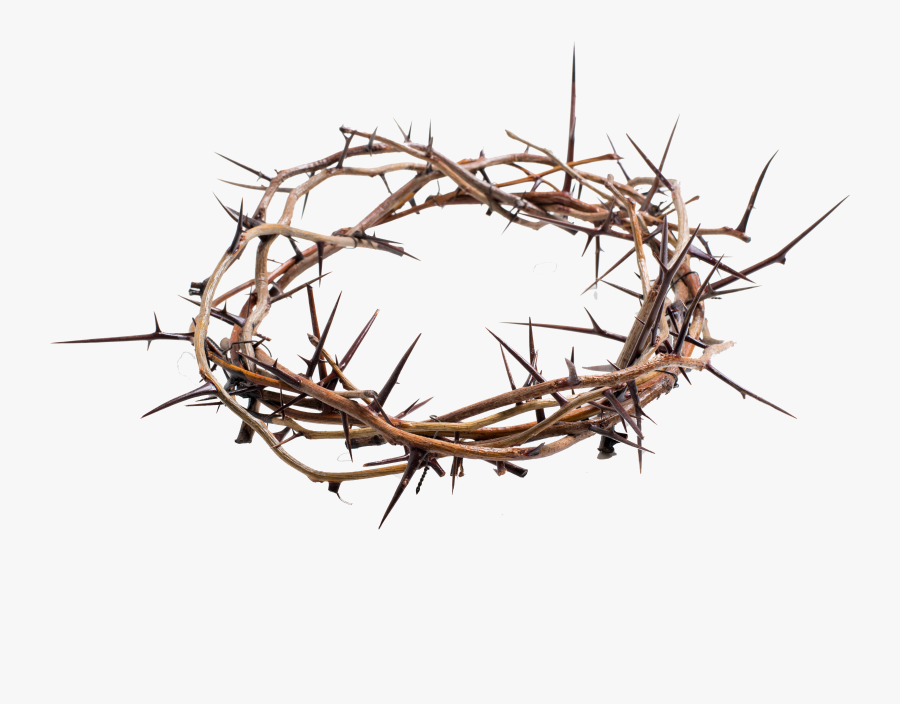 Crown Of Thorns Png Transparent - Crown Of Thorns Png, Transparent Clipart