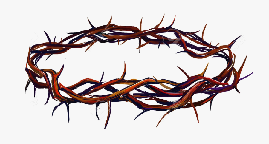 Crown Of Thorns Png Photo - Crown Of Thorns Transparent Background, Transparent Clipart