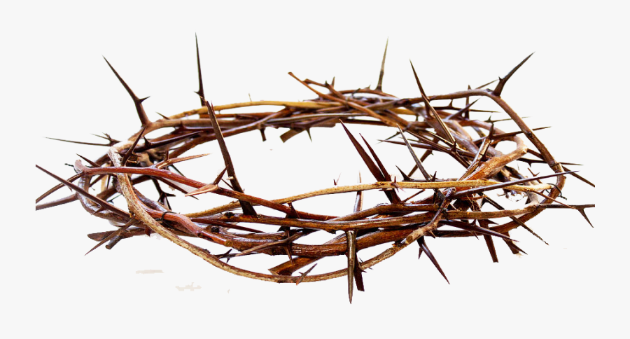 Crown Of Thorns Png Free Pic - Crown Of Thorns Png , Free Transparent ...