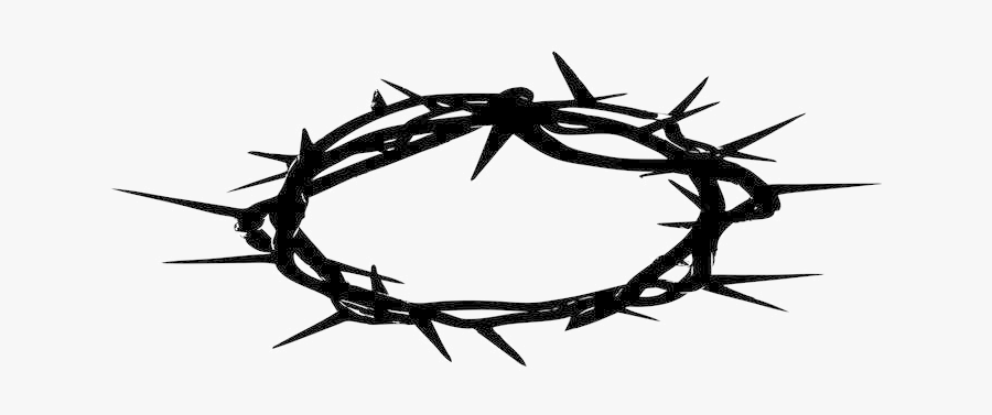 Download Crown Of Thorns Christianity Thorns, Spines, And Prickles ...