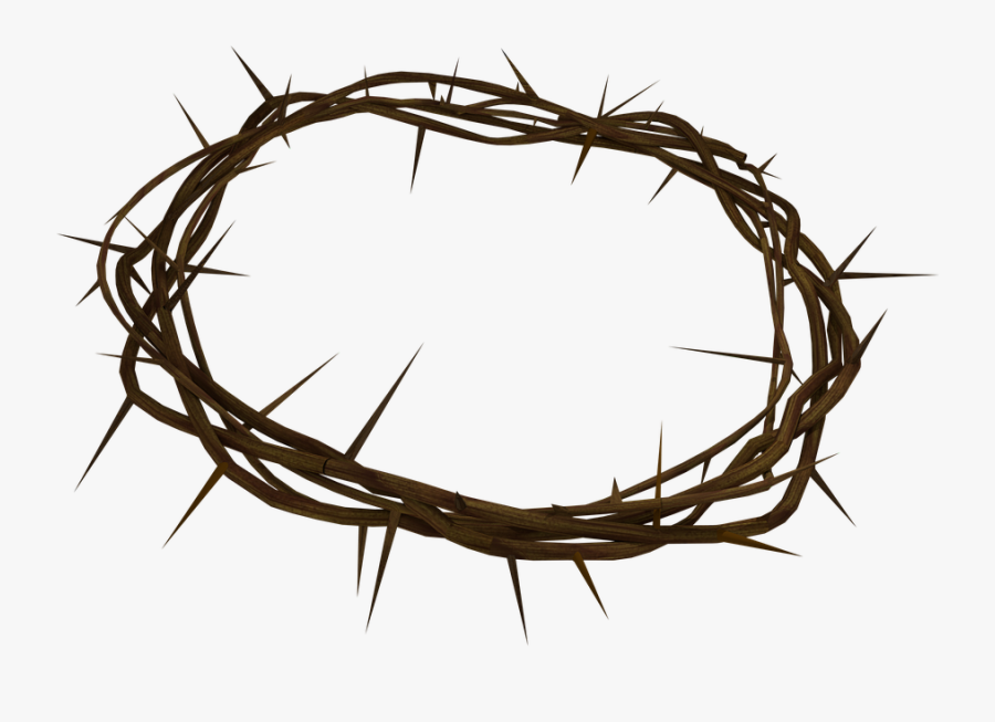 Crown Of Thorns Png Background - Crown Of Thorns Transparent, Transparent Clipart