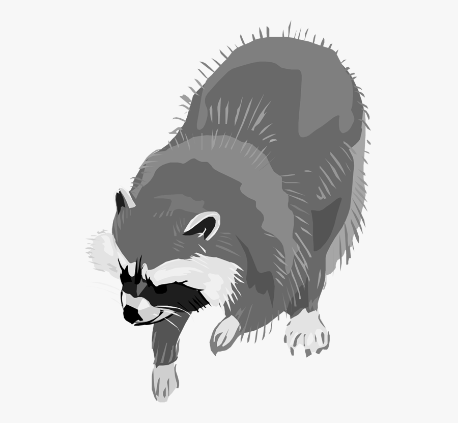 Transparent Raccoon Clip Art, Transparent Clipart