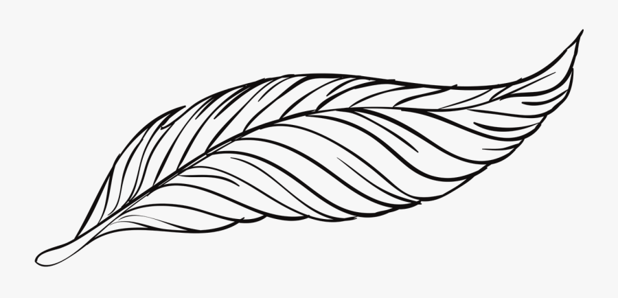 Transparent Feather Drawing Png, Transparent Clipart