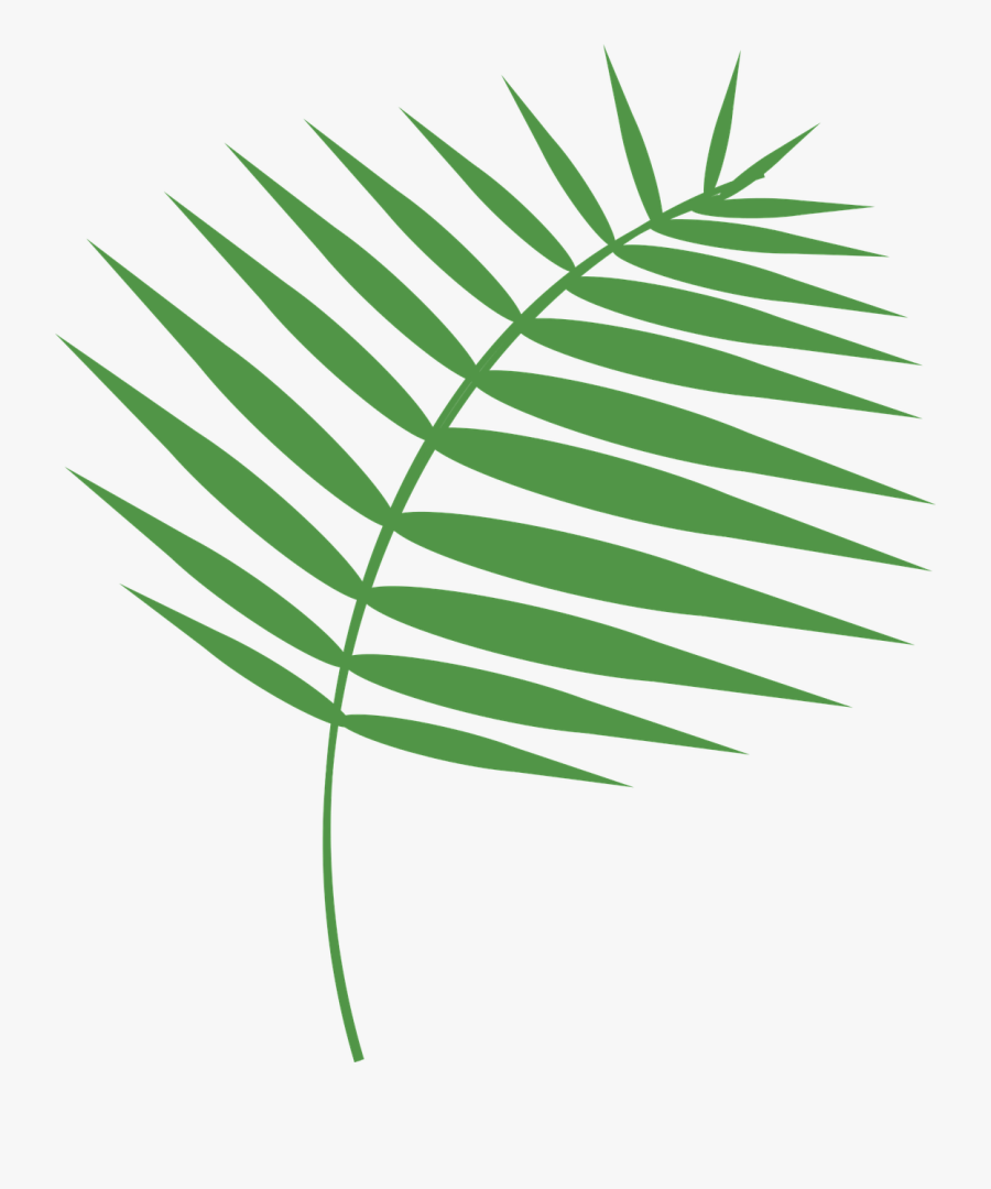 Transparent Free Holy Week Clipart - Free Palm Sunday Vector, Transparent Clipart