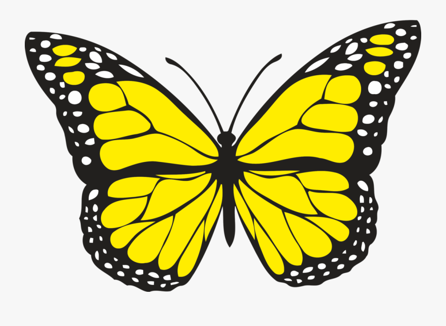Yellow Butterfly, Transparent Clipart