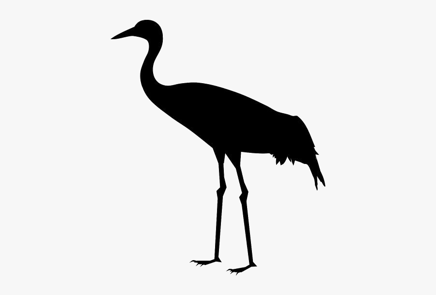 Sandhill Crane Png Transparent Images - Crane, Transparent Clipart