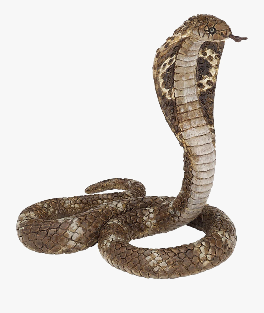 King Cobra Png, Transparent Clipart