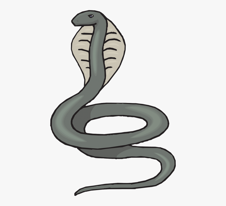 Head Snake Gray Cobra Raised Swirl Reptile - Transparent Background Snake Clipart, Transparent Clipart