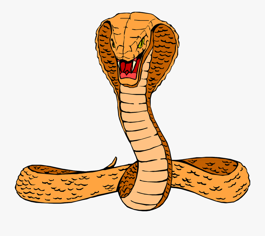 28 King Cobra Clip Art - Cobra Clipart, Transparent Clipart