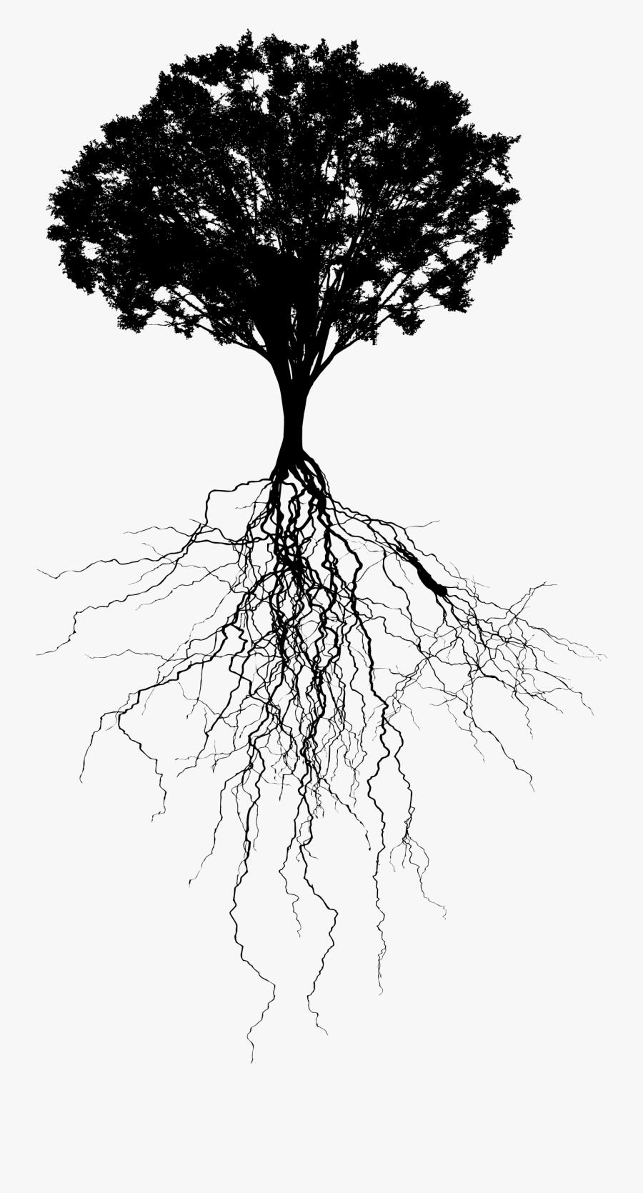 Tree With Deep Roots Silhouette - Tree Roots Silhouette Png, Transparent Clipart