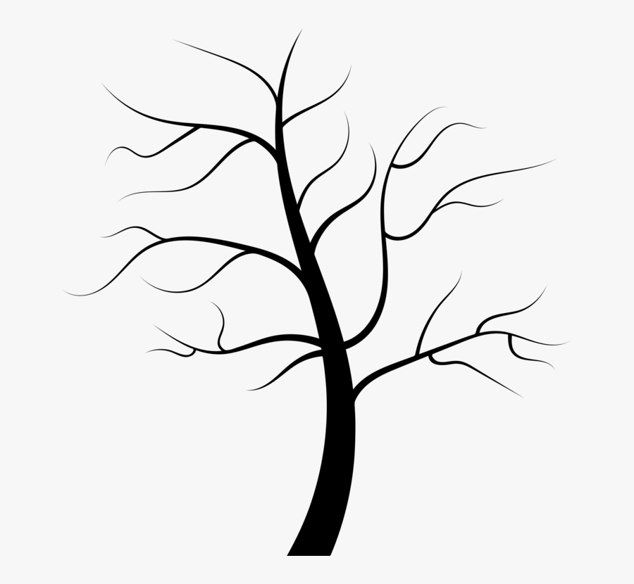 Tree Root Trunk Juglans Evergreen - Tree No Leaves Clipart Black And White, Transparent Clipart