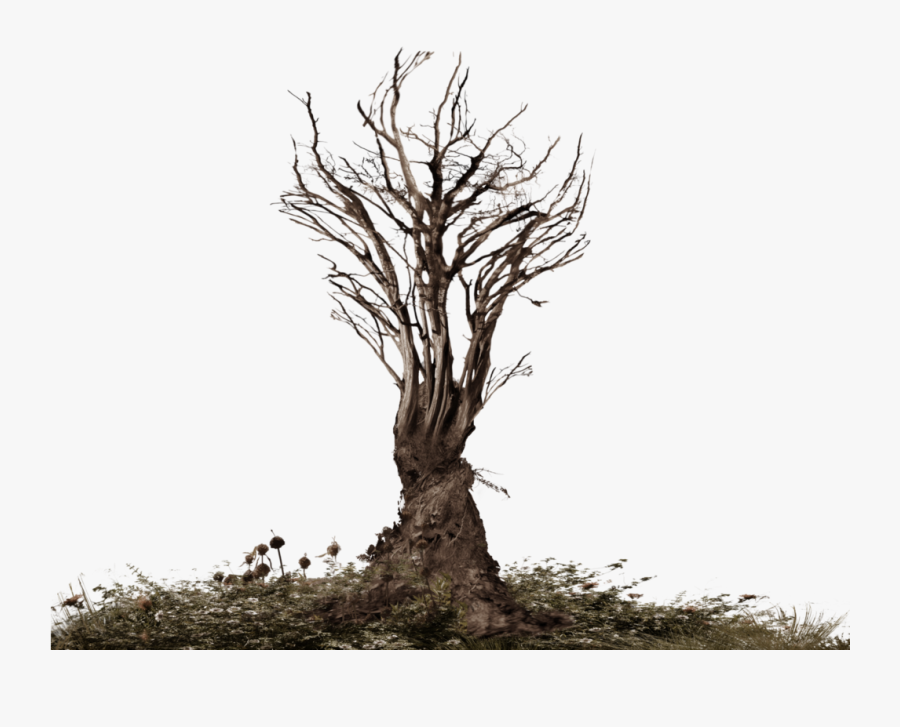 Roots Tree Png Clipart - Dead Tree Png, Transparent Clipart
