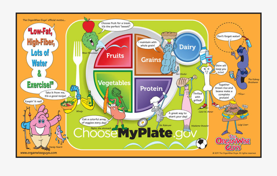 Kids Nutrition Education Posters - Search For Organ Wise Choices Placemat, Transparent Clipart