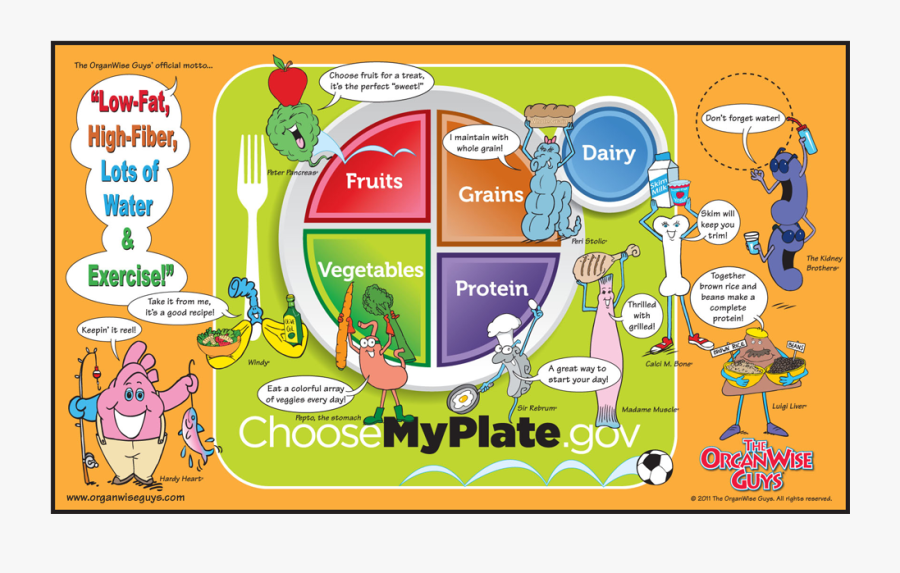 Kids Nutrition Education Posters - Search For Organ Wise Choices 