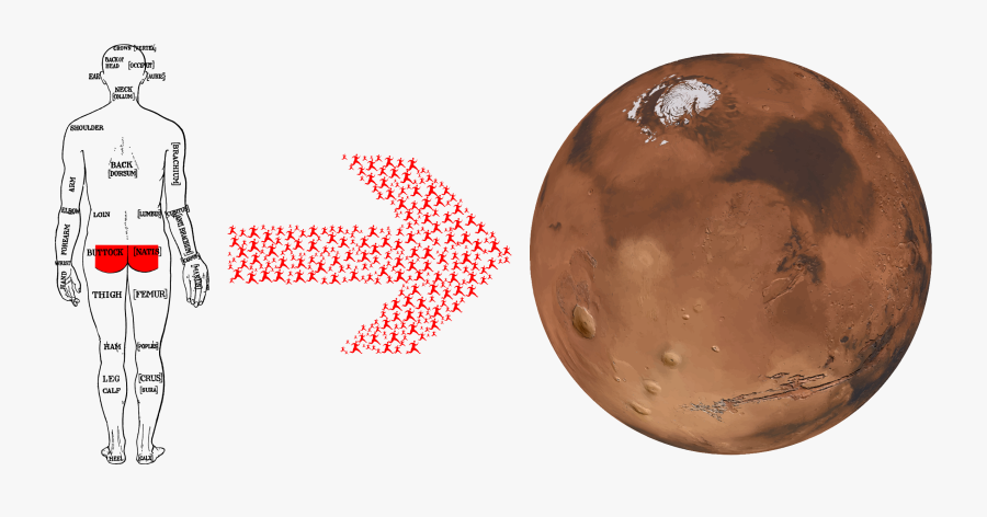 Copper,mars,computer Icons - Sphere, Transparent Clipart