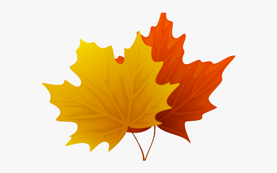 Fall - Maple Leaf Clipart Png, Transparent Clipart