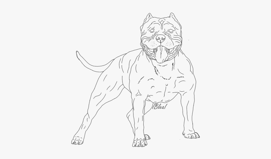 Drawing American Bully Logo