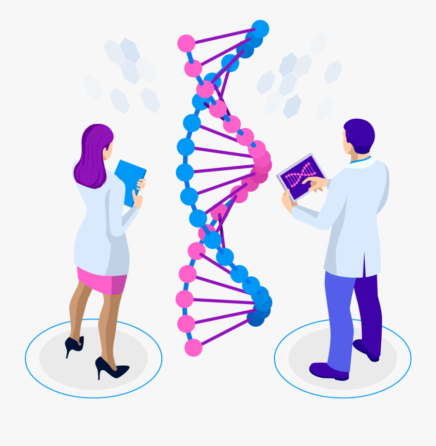 Dna Isometric , Free Transparent Clipart - ClipartKey