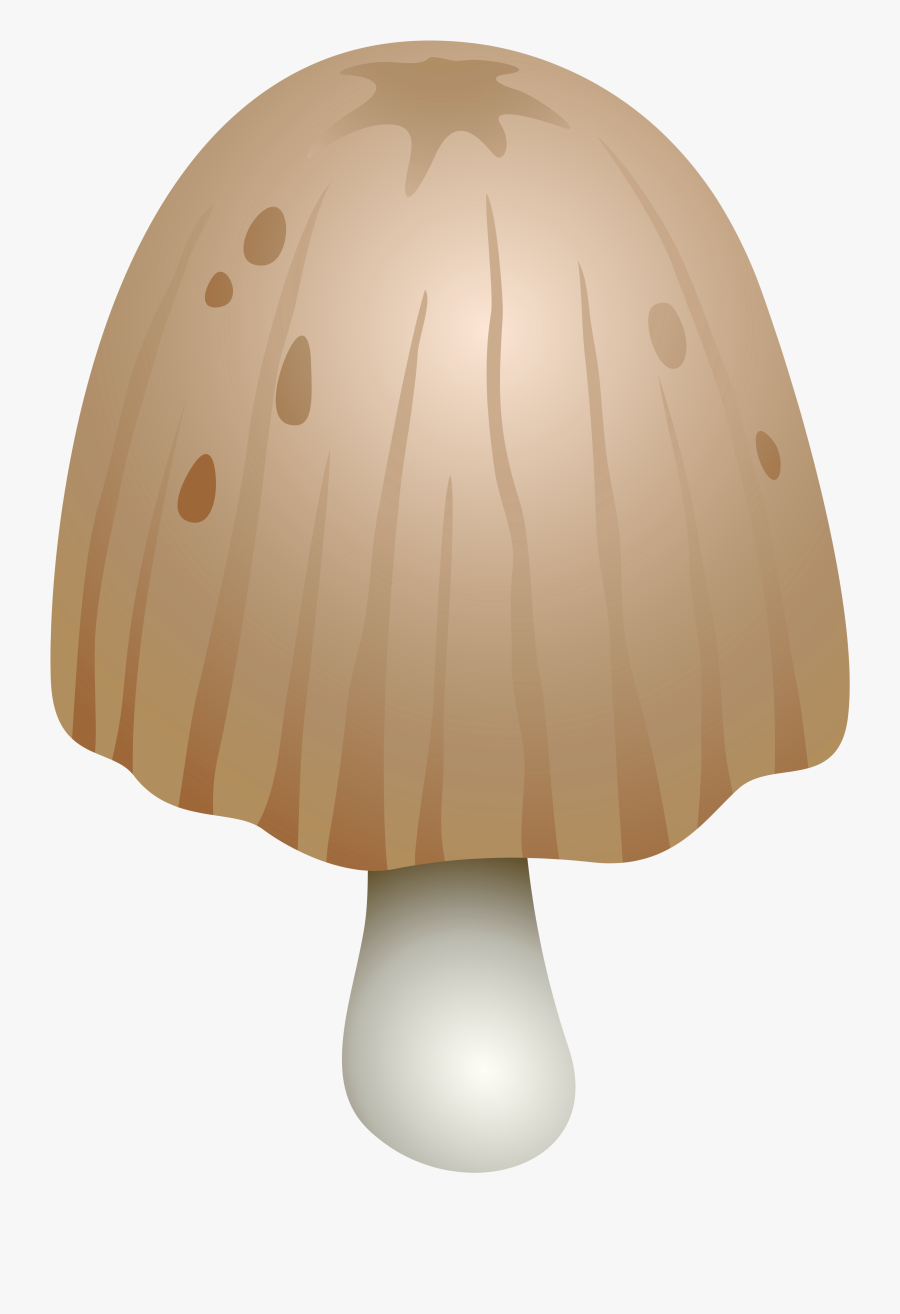 Coprinus Comatus Mushroom Png Clipart - Shiitake, Transparent Clipart