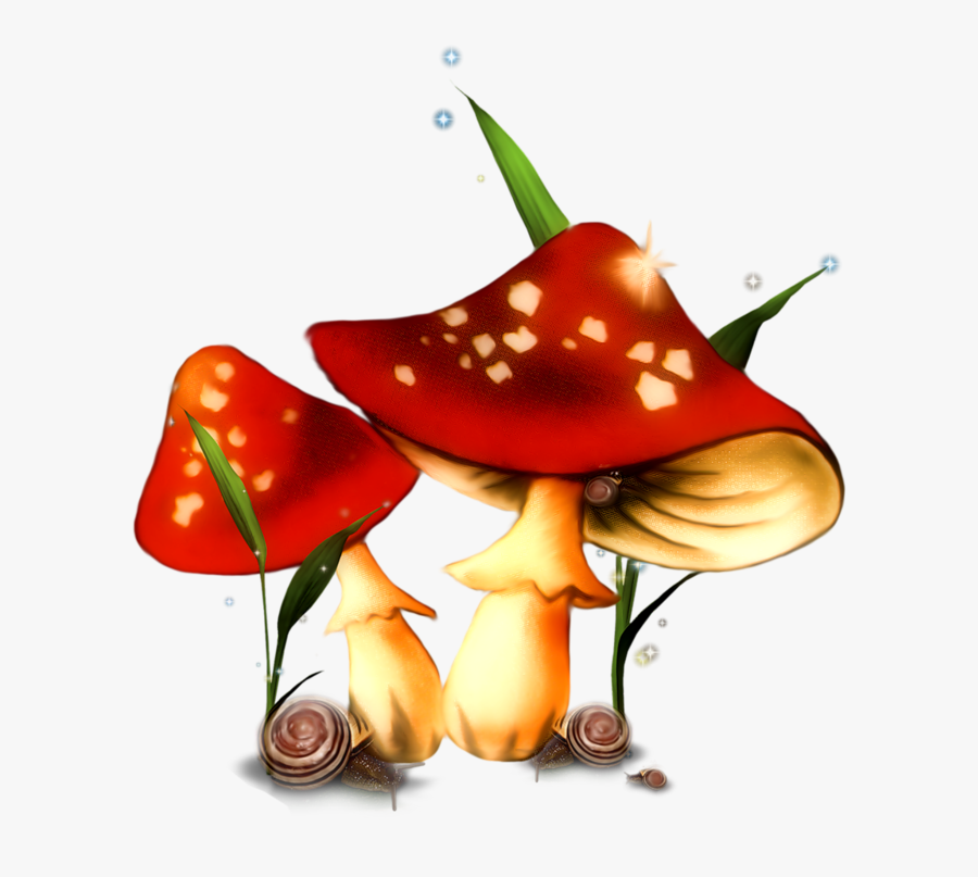 Animated Mushrooms, Transparent Clipart