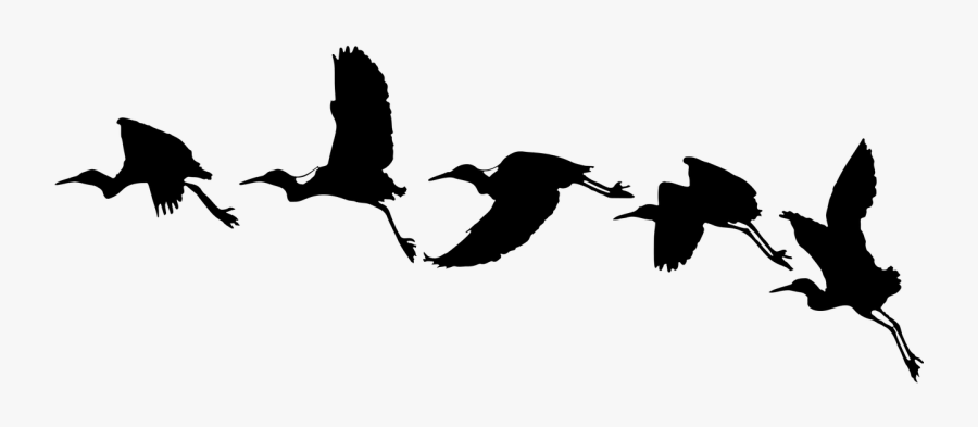 Flying Birds Silhouette - Bird Vector Png Silhouette, Transparent Clipart