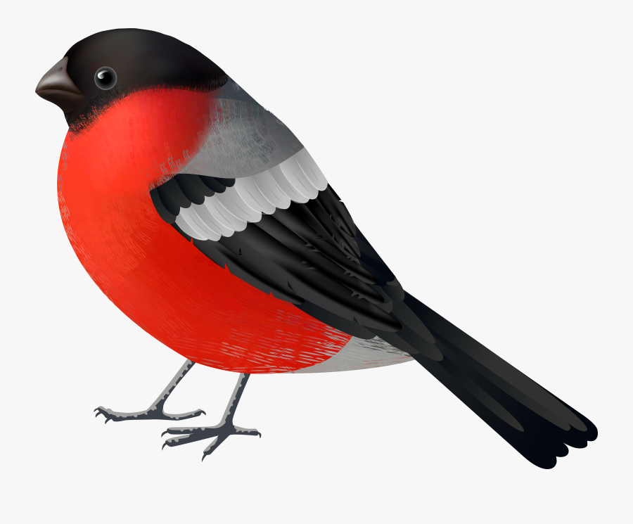 Red Black Bird Png Clip Art, Transparent Clipart