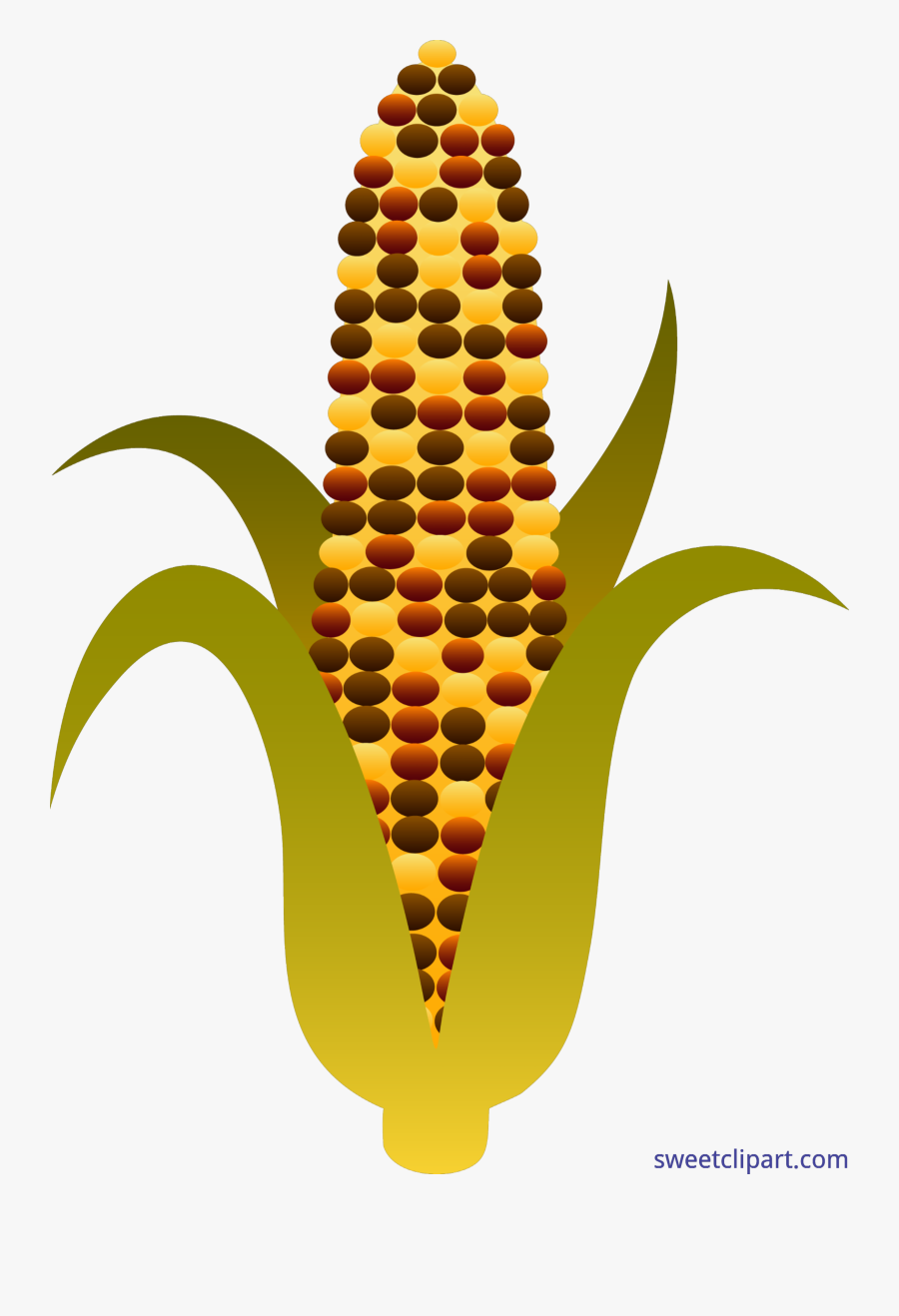Clip Art Harvest Clip Art Sweet - Clipart Indian Corn, Transparent Clipart