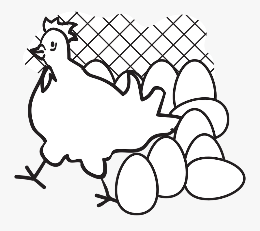 Chicken And Egg Black And White, Transparent Clipart