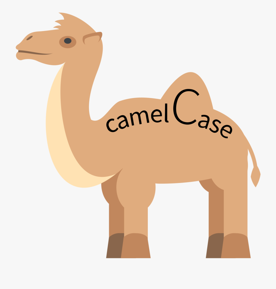 Camelcase Example