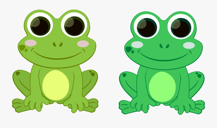 Frog Green Toad - Frog In A Pond Clipart, Transparent Clipart