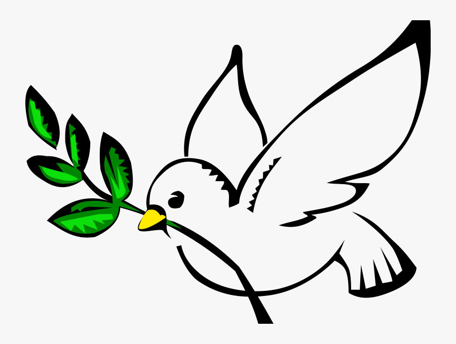 Transparent Holy Spirit Dove Png - Dove Olive Branch Clip Art, Transparent Clipart
