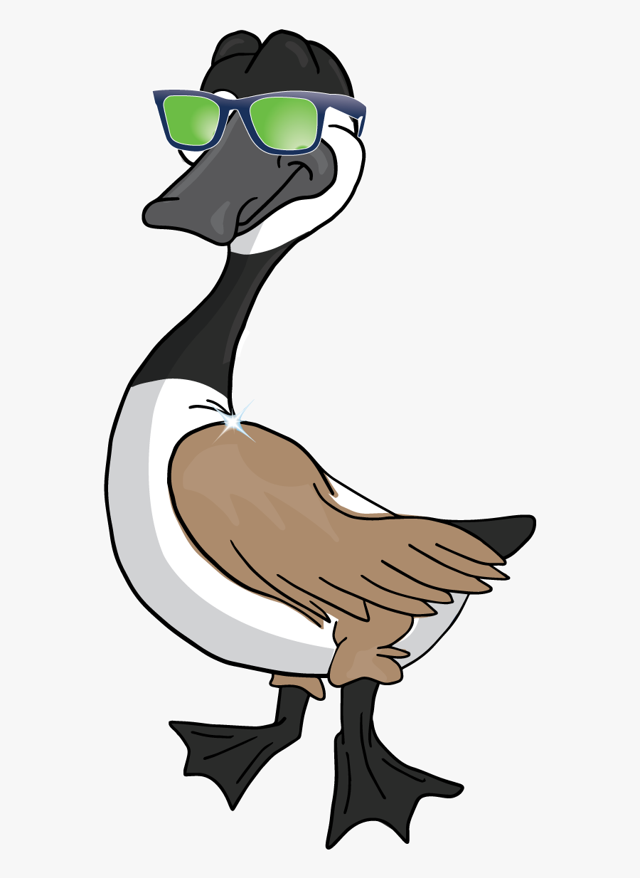 Duck, Transparent Clipart