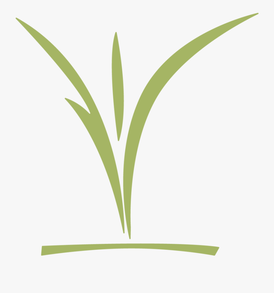 Ccc Childrens Logo Green - Grass, Transparent Clipart