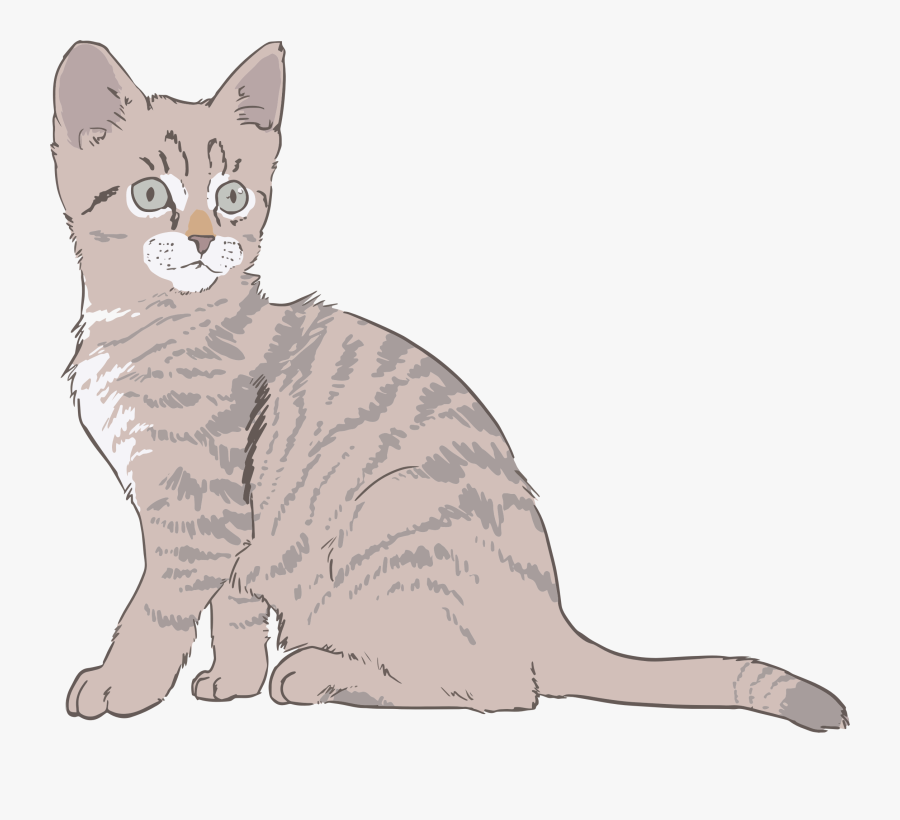 Kitten Line Art Colored - Cat Drawing With Color, Transparent Clipart