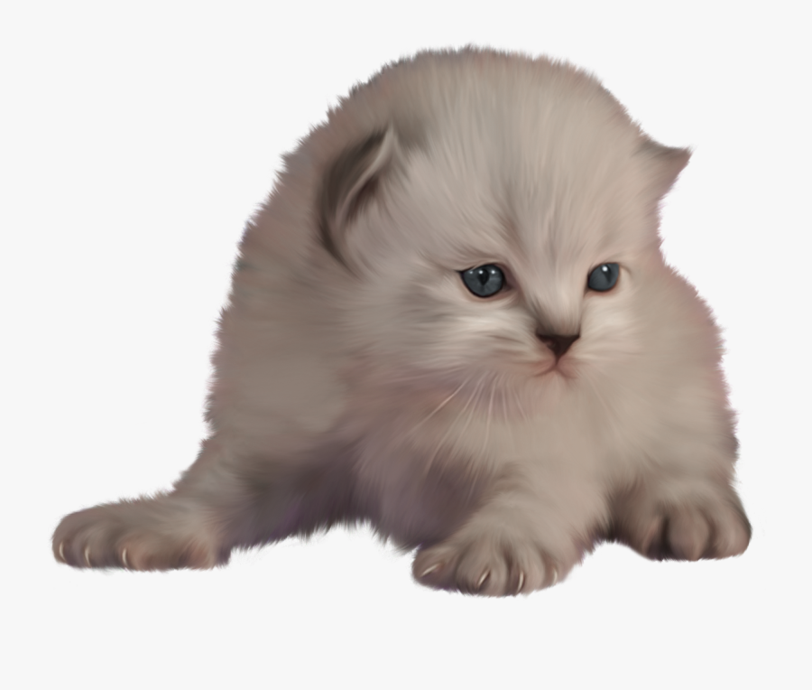 Kitten Png Clip Art - Cat, Transparent Clipart
