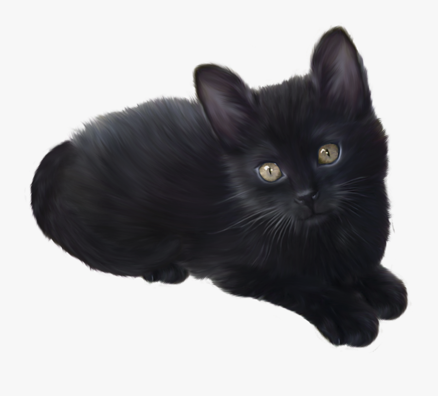Kitten Png - Black Kitten Transparent Background, Transparent Clipart