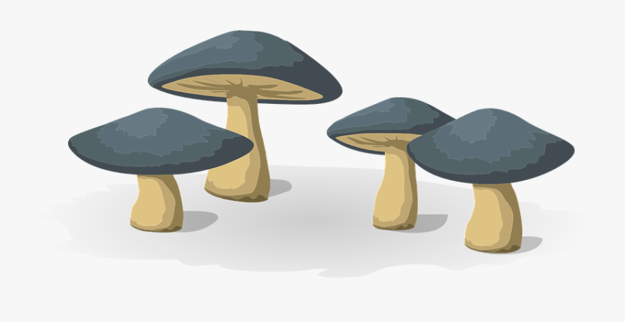 Mushrooms On Trunk Png, Transparent Clipart