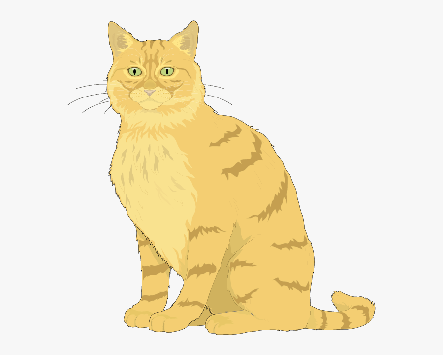 Ragdoll Kitten Euclidean Vector Clip Art - Cat Vector, Transparent Clipart