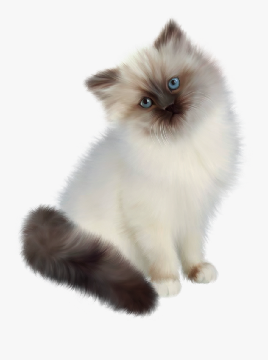 Clip Art Kitten Background - Siamese White Persian Cat, Transparent Clipart