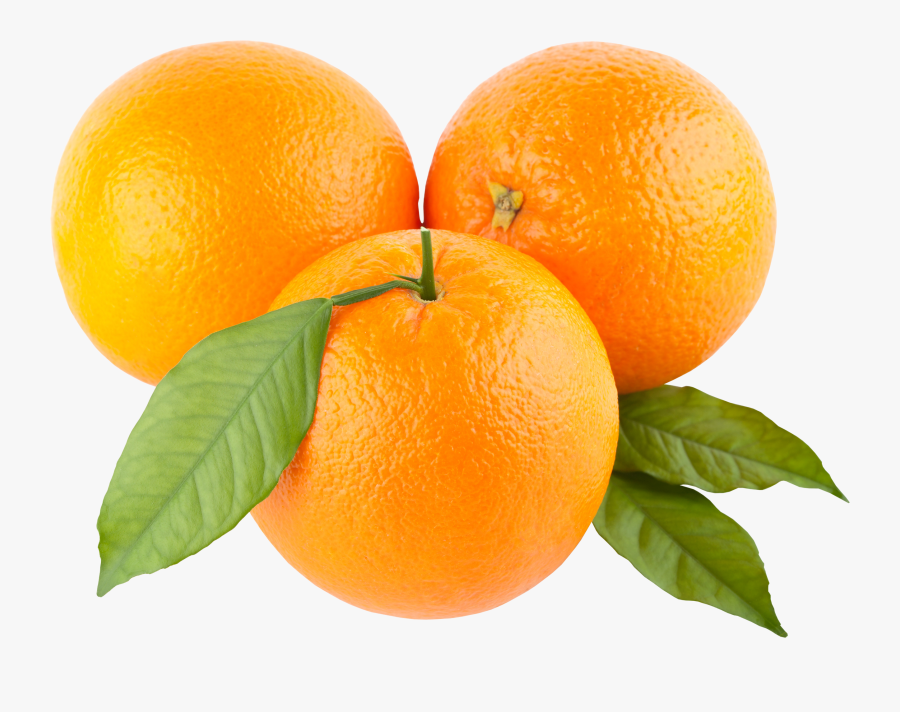 Orange Image Free Download Clipart - Orange Png, Transparent Clipart