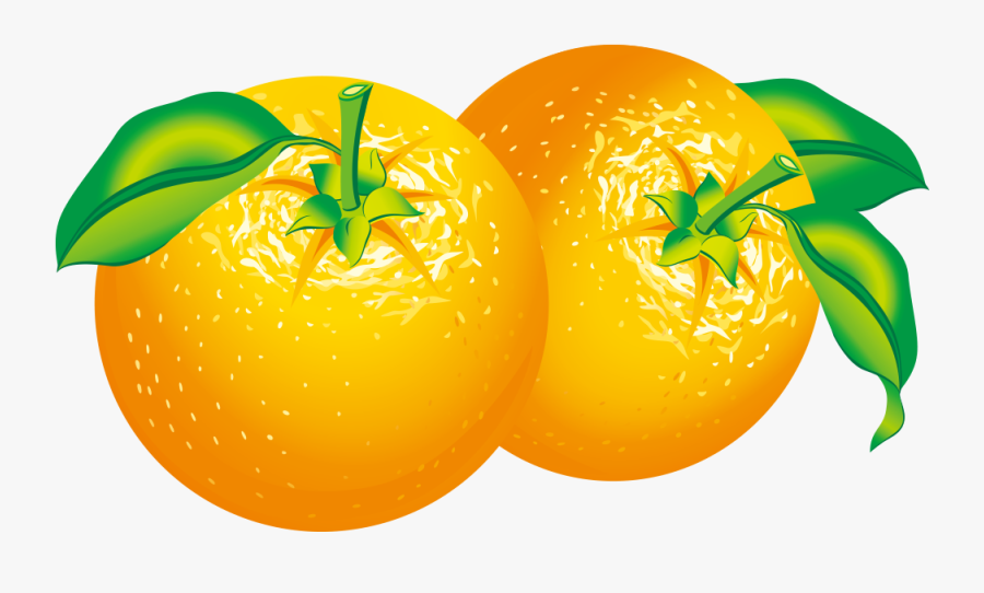 Orange Citrus Clip Art - Orange Fruit Vector Png , Free Transparent