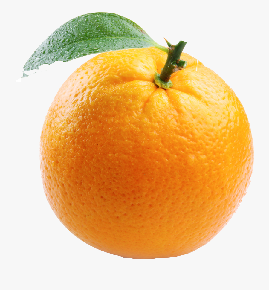 Free Transparent Images Clip - Orange Png, Transparent Clipart