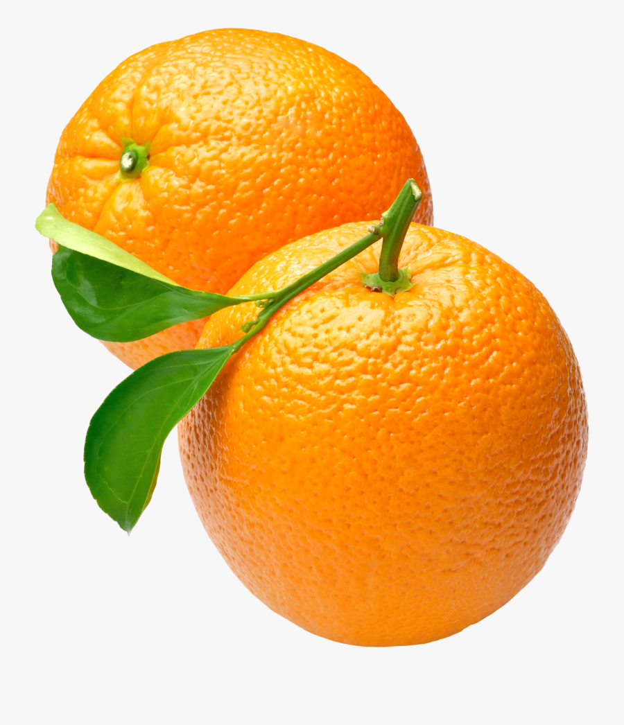 Orange Icon Web Icons - Orange Png, Transparent Clipart