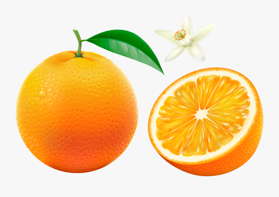 Orange Fruits And Vegetables Clipart, Transparent Clipart